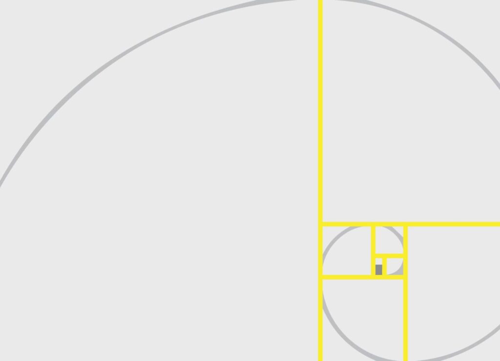 STITCH Design Shop WFU Math Interior Golden Ratio